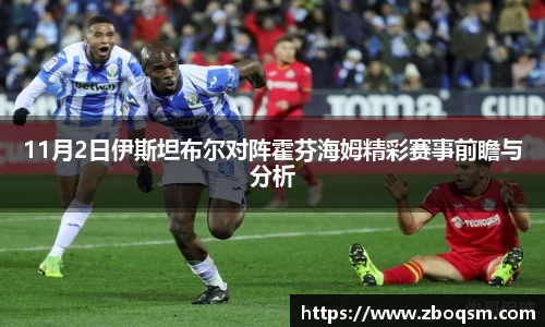 11月2日伊斯坦布尔对阵霍芬海姆精彩赛事前瞻与分析